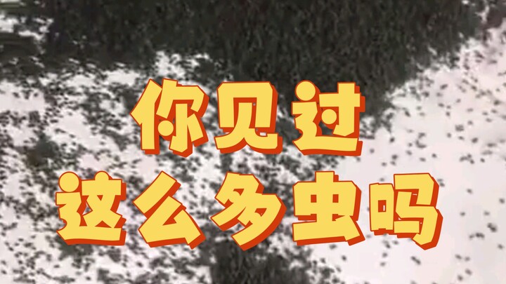 Even walking makes crunching sounds—any good ways to get rid of this? [Not for those with trypophobi