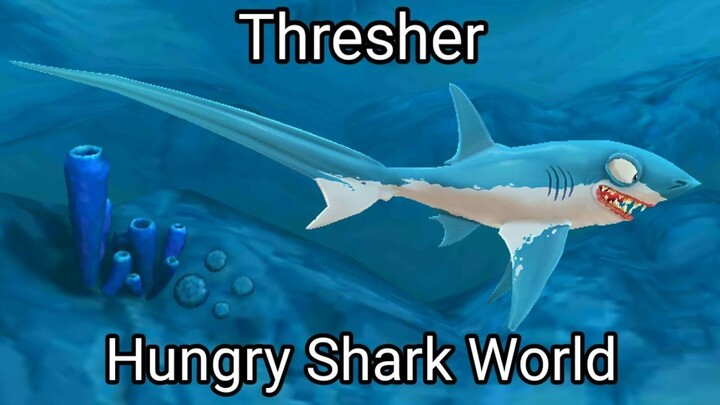 Hungry Shark World (Thresher) #BstationGamers #bestofbest