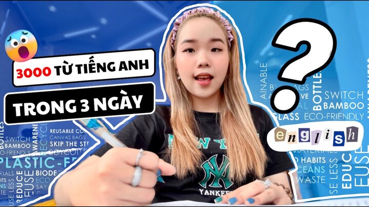 HỌC 3000 TỪ VỰNG TIẾNG ANH TRONG ĐÚNG 48H ?!