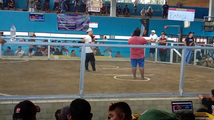 rafael 6