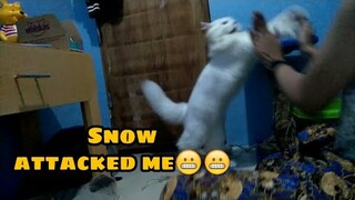 What happen to my cat?😱