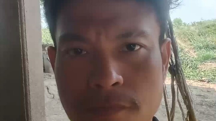 Panuเด็กเมืองเข้