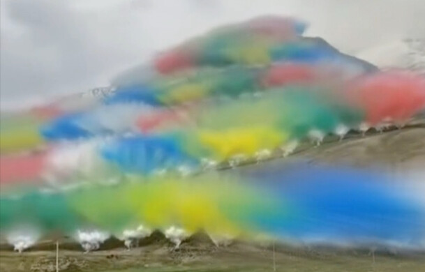 لا ينبغي أن يُبنى الفن على تدمير البيئة