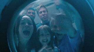 小女孩在飞机上发现了一件可怕的事，巨大的螺旋桨在万米高空撞上了一群鸟群