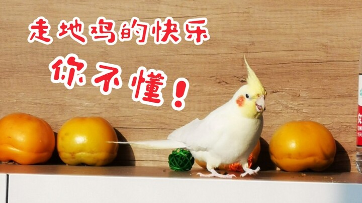 ทำไมฉันถึงมักจะเปลี่ยนสิ่งที่บินอยู่บนฟ้าให้กลายเป็นสิ่งที่วิ่งอยู่บนพื้นได้ล่ะ?
