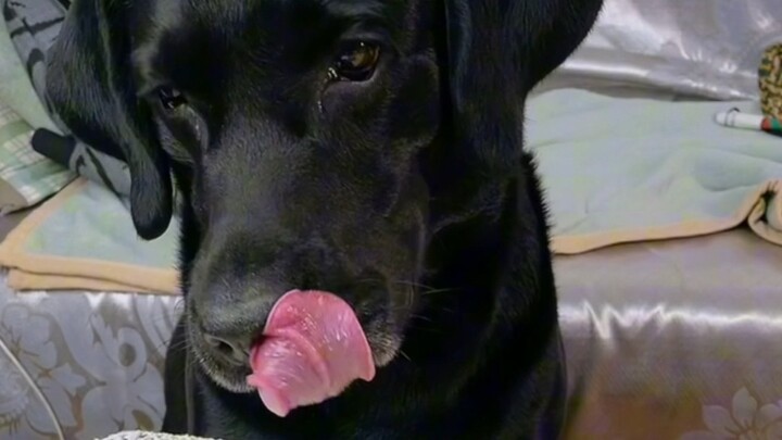 Eat something good today