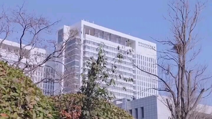 هل يخطئ طالب ثانوي في استخدام القانون لحماية نفسه بعد أن صدم شخصًا عن طريق الخطأ بسيارته؟