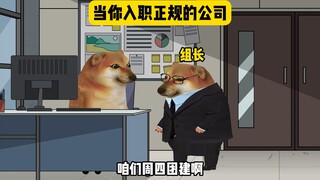 第一次进正规公司，还有点不习惯