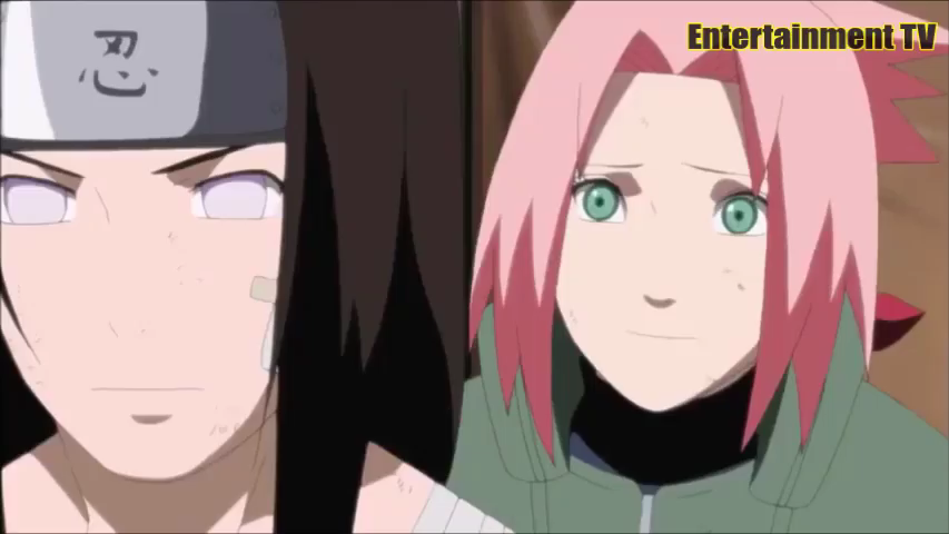 naruto shippuden english dubbed episodes 313