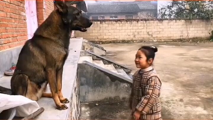 Dog: Why are you so informal with your “dog uncle”? Hahaha