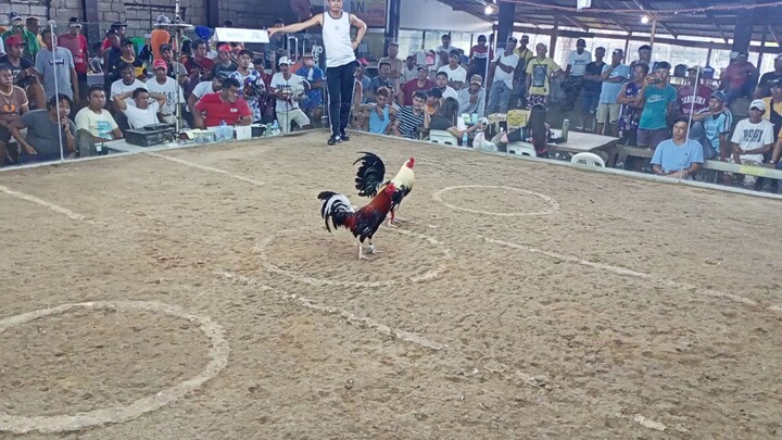 Gilmore sweater Feb 7🏆