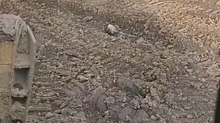Watering a friend
