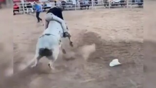 Đây có phải là kết quả của việc tập luyện hậu môn hàng ngày không?