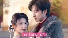 Đoá Hồng Mù Full