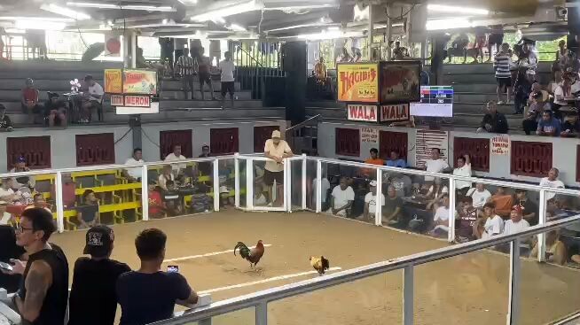 Hook Fight first 1