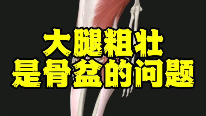 ต้นขาใหญ่ พุงยื่น ต้องปรับกระดูกเชิงกรานจึงจะช่วยให้ดีขึ้นได้อย่างมีประสิทธิภาพ