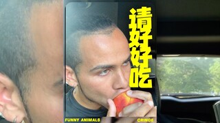 我可以出钱给桃子请个律师🍑