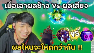 Blox Fruits เมื่อเอาผลช้าง Vs ผลเสียง ผลไหนจะโหดกว่ากัน!!