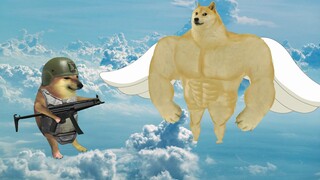 你的朋友李贺轩穿越到了荒岛，请你做出正确的选择 @烟老叭