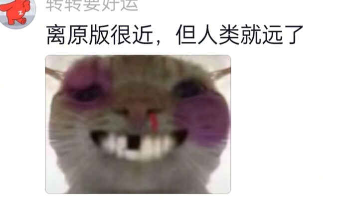 صوت ميم "تخمّن القط من الصورة"!