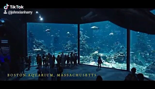 Aquaman