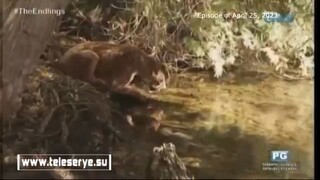 Endlings Tagalog Episode 7 P1