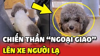 Bất lực với CHIẾN THẦN NGOẠI GIAO, sơ hở là lên xe NGƯỜI LẠ 😂 | Yêu Lu