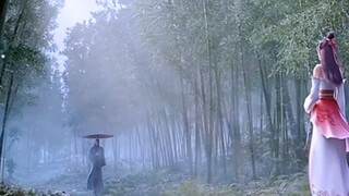 白鹤怀，苏暮雨，又是一对意难平
