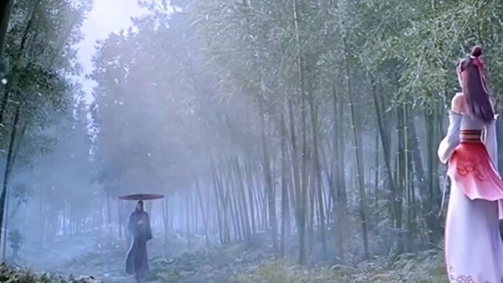 白鹤怀，苏暮雨，又是一对意难平