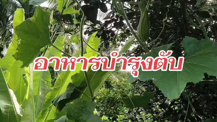 อาหารบำรุงตับ #สมุนไพร