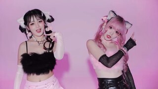 【凡×妙】Kucing kembar yang manis dan pedas 🩷Copycat🖤