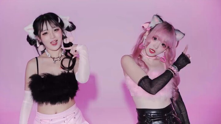 【凡×妙】แฝดแมวแสนหวาน 🩷Copycat🖤