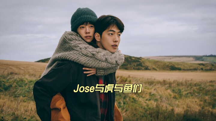 Cô gái khuyết tật ngồi xe lăn gặp được tình yêu, từ đó nỗi u ám trong lòng tan biến như mây khói.