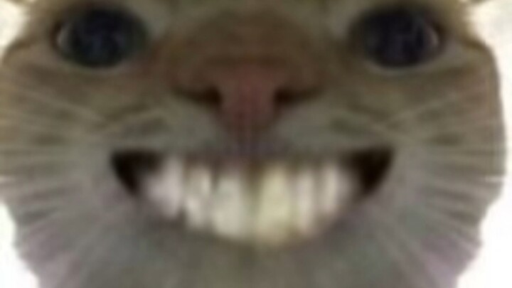 Rats used a redeem code and actually got two big golds!