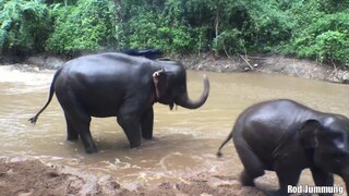 คิดถึงตอนที่ได้ดูแลกันและกัน คิดถึงนะลูก