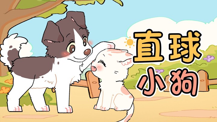 Ternyata, anak anjing juga perlu "mencontek" saat menyatakan cinta~~