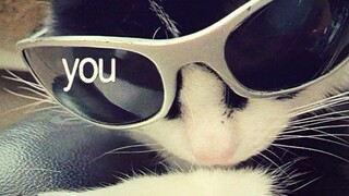 slay kitty