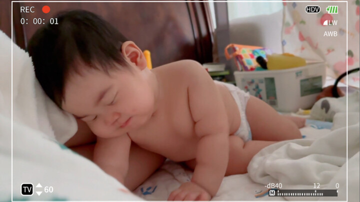 Một chú cún con vừa mới ngủ dậy