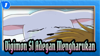 Adegan Mengharukan, Penuh dengan Memori | Digimon S1_1