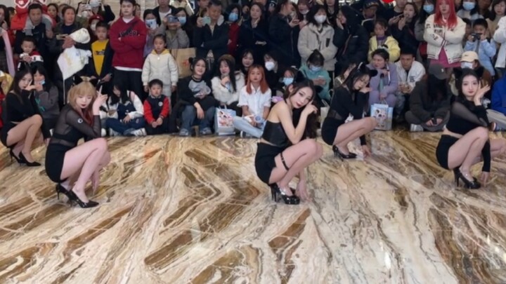 [AOA-Catwalk Quietly] Come and see the road show with all the long legs