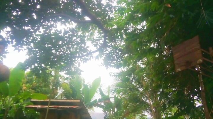 hahaha magiging boy Mona Ako