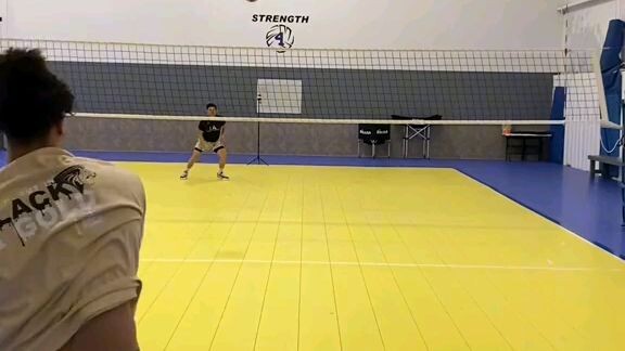 tips and tricks for service volleyball