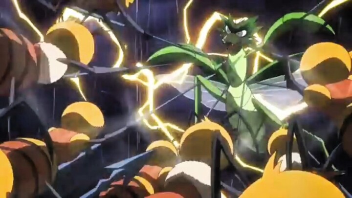 Hacchi: Pejuang Kecil di Dunia yang Kejam