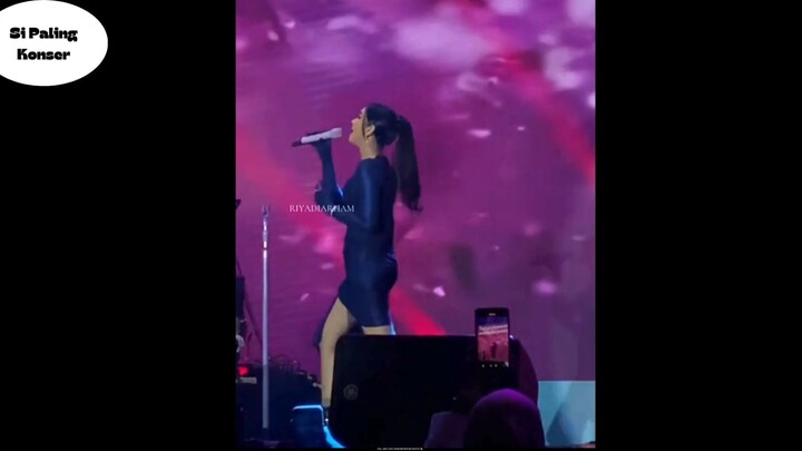 #Konser #pop #musik #band #viral #fyp