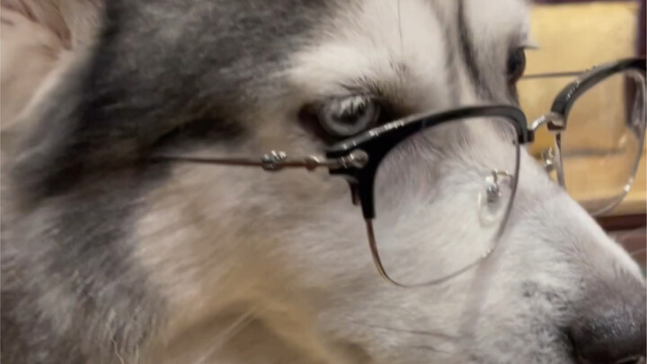 Chúc mọi người năm mới vui vẻ!