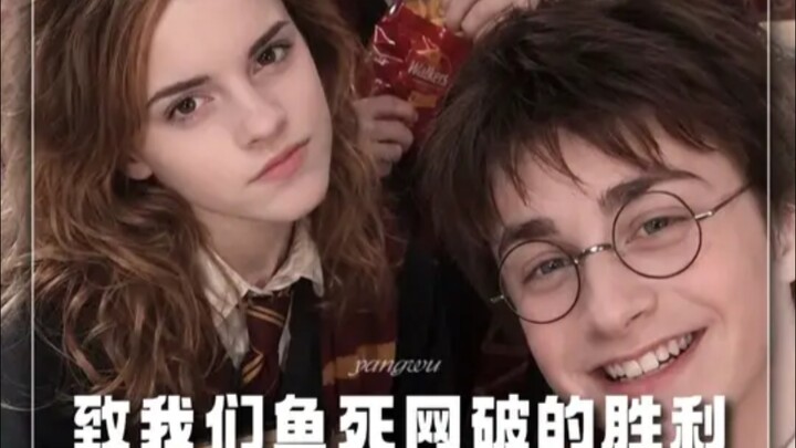 Harry Potter: To Our Victory at All Costs