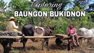 EXPLORE BAUNGON BUKIDNON | JOURNEY IN BUKID | LIFE N JOURNEY | LIFE N PINAS