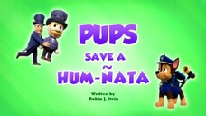 paw patrol musim 11 Episode 12 original mix indonesia song