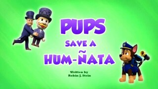 paw patrol musim 10 Episode 12 original mix opening Theme song Bahasa indonesia