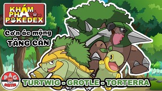 Tìm hiểu Turtwig - Grolte - Torterra: Cơn ác mộng mang tên TĂNG CÂN | Khám Phá Pokedex | PAG Center